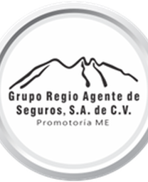 Grupo regio agente de seguros s.a. de c.v.