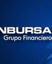 Grupo Financiero Inbursa VICSA