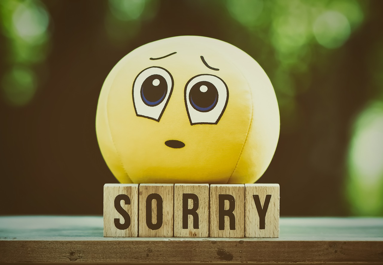 ¿Cuáles son las palabras correctas para pedir disculpas?