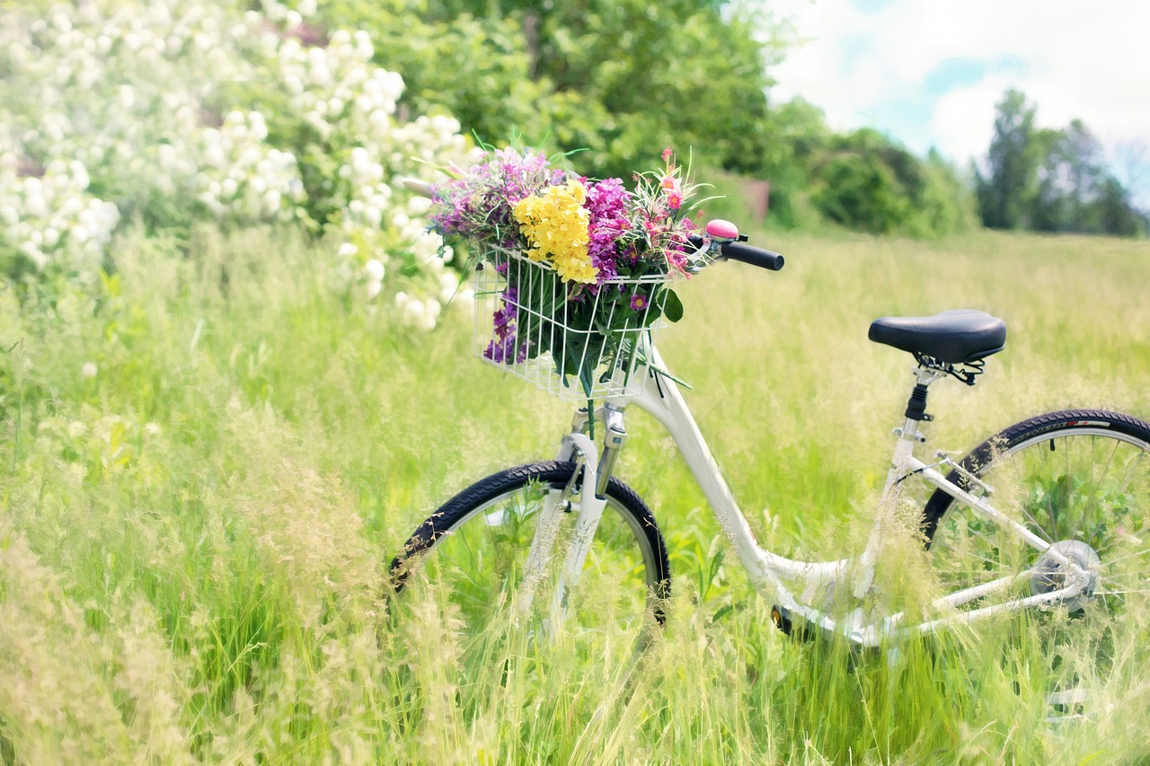 ¿Qué bicicleta es mejor para hacer ejercicio en casa?
